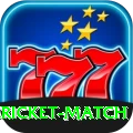all cricket match App Mega v3.3.2