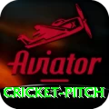 cricket pitch Elite - Free Download
