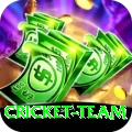 cricket team Games Turbo