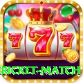 international cricket match Plus - Free Download