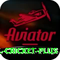 international cricket VIP APK v4.0.2