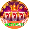 Metawin Pro Max v5.8.5