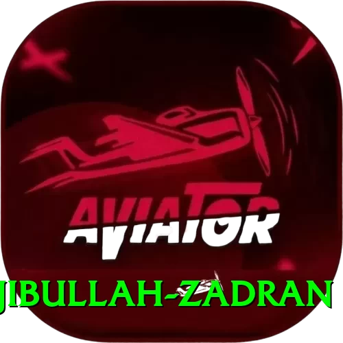 najibullah zadran - Extreme Earning App - 2