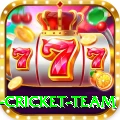 new zealand cricket team Earn Premium v4.4.3