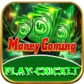 play cricket - King Earning App