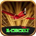 r cricket Game Premium v4.3.3