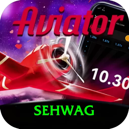 sehwag Pakistan Plus v2.4.3 - 2
