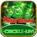 smart cricket live Ultimate Pakistan