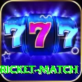 to day cricket match Turbo v1.5.2