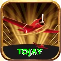 tojay Apps (Tools & Injectors) Pro v1.4.2