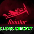 willow cricket Gaming Plus v5.3.7